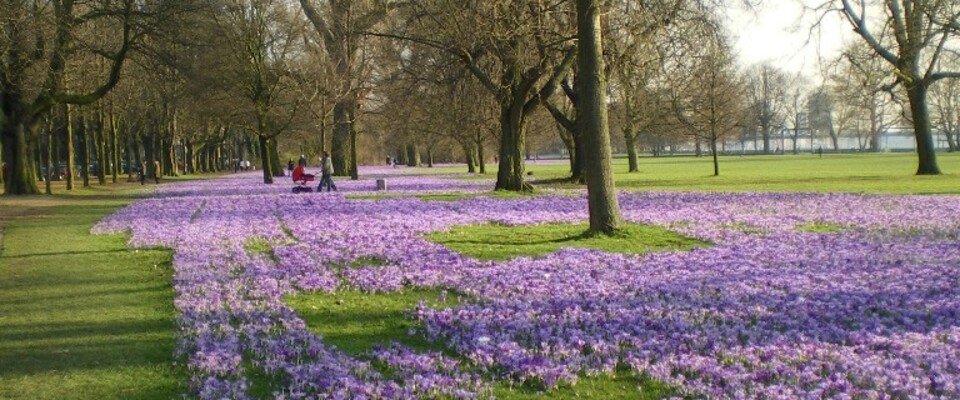 Rheinpark als Sinnbild