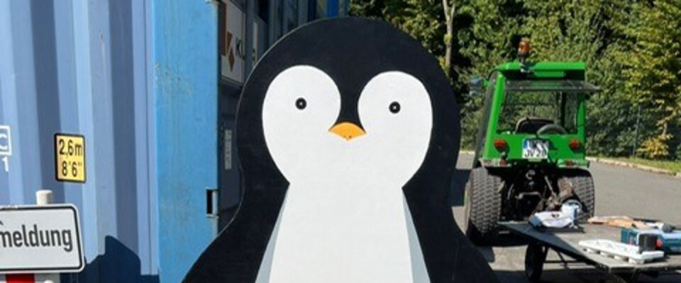Pinguin vor dem Holzgang