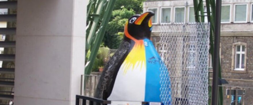 Pinguin Simon